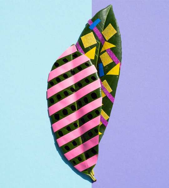 showcase-image2