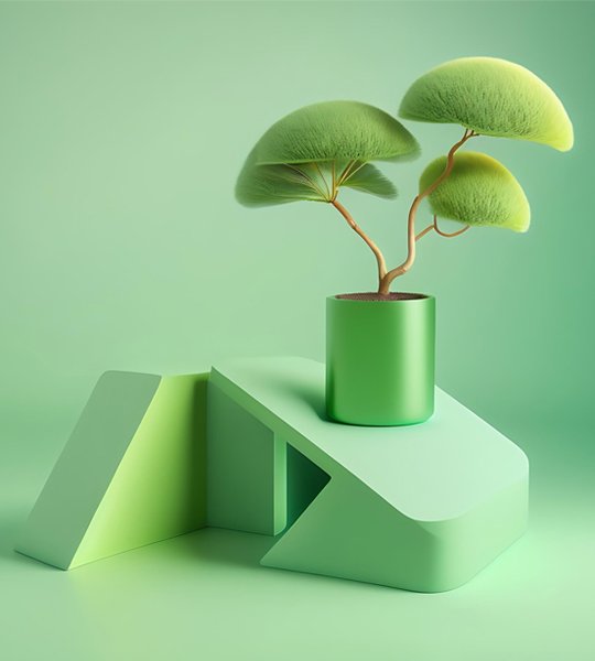 showcase-image5